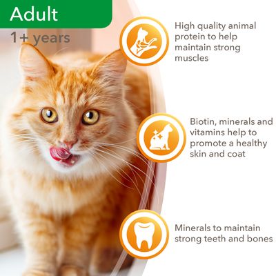 IAMS Delights Adult – Collezione Mare