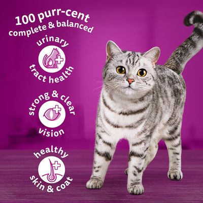 Whiskas 1+ Kylling