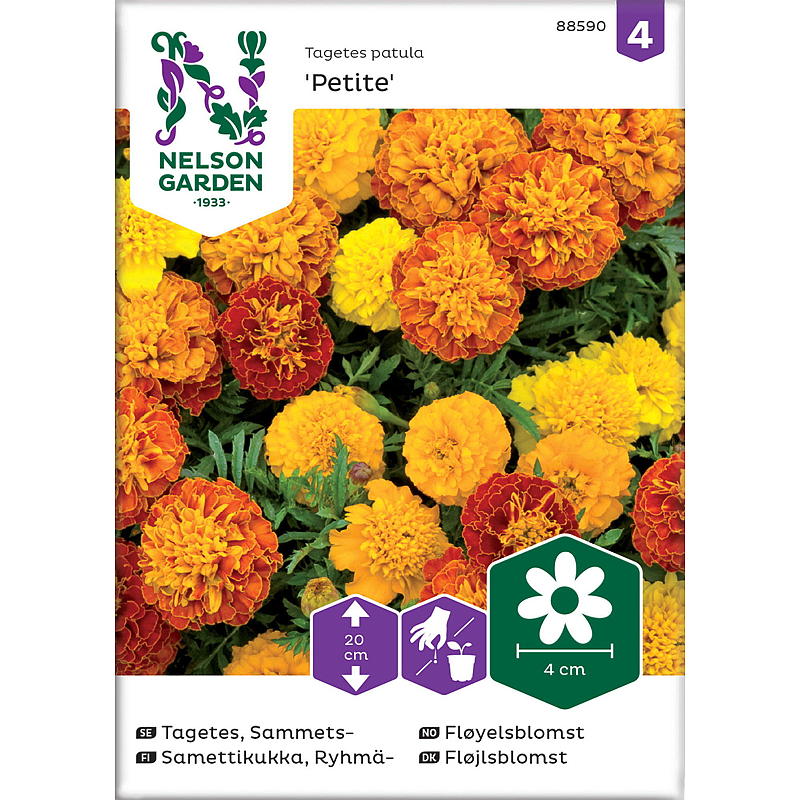 Mélange de petites fleurs de velours Nelson Garden Seeds, faible