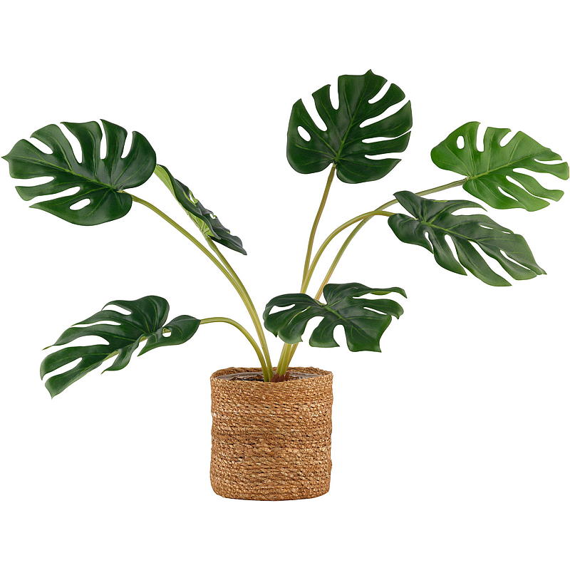 Accueil Monstera 60 cm artificiel