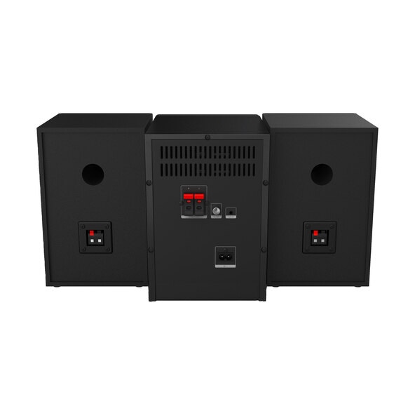 Micro Hi-Fi System MS 300