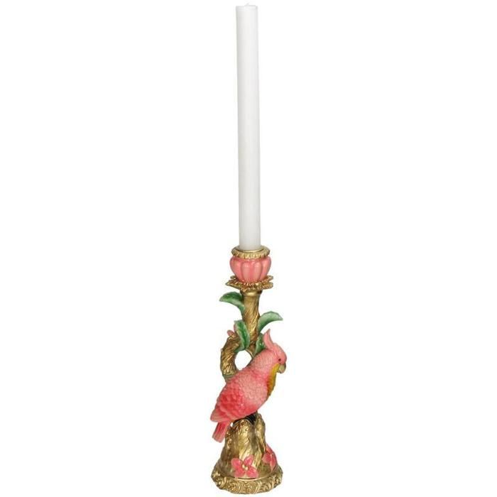 Planta en maceta Kandelaar Vogel Rosa 9x8x28cm. Planta verde, tipo Kandelaar Vogel Pink, 9x8x28cm, entregada en maceta, ideal para interiores luminosos