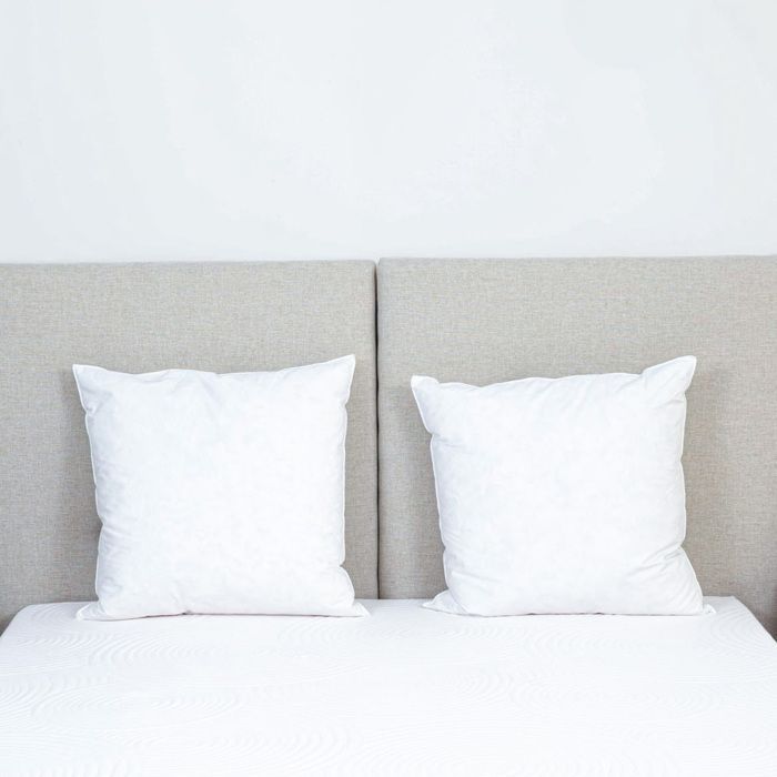Set of 2 Natura pillows 60x60 cm Down & Feathers