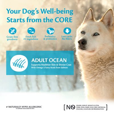 Croquettes Wellness Core pour chiens adultes de taille moyenne et grande, saveur Océan