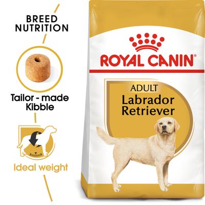 Royal Canin Labrador Retriever felnőtt kutyatáp