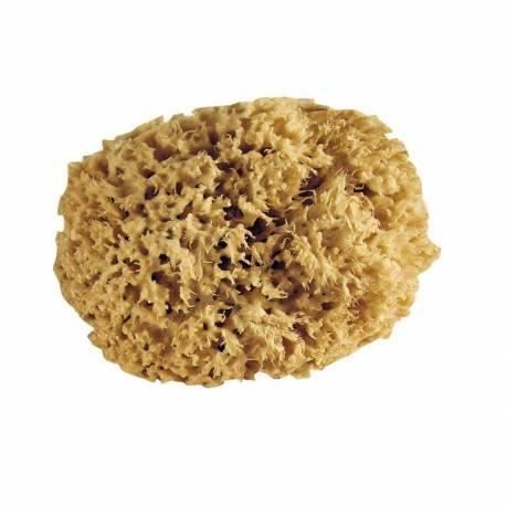 Esponja natural Gerbis de 6,5 pulgadas.