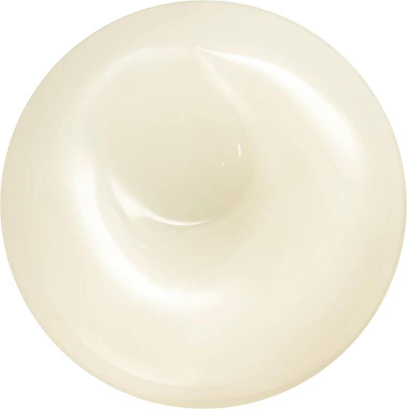 Creme de dia Shiseido Men Total Revitalizer