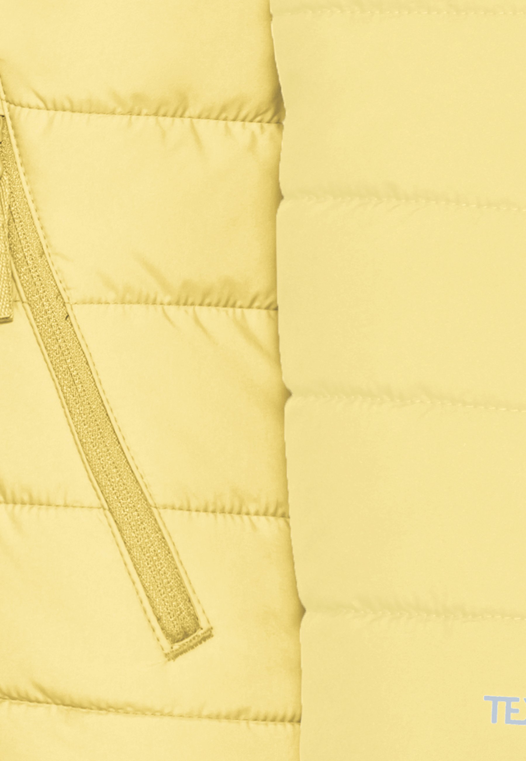 Jack Wolfskin NEW ZENON - Ski-jas - citroenijs