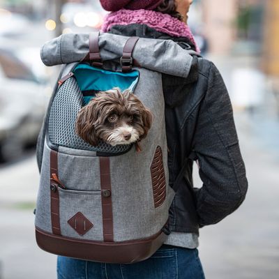 KURGO K9 Hunde-Rucksack – 20 % Rabatt!*