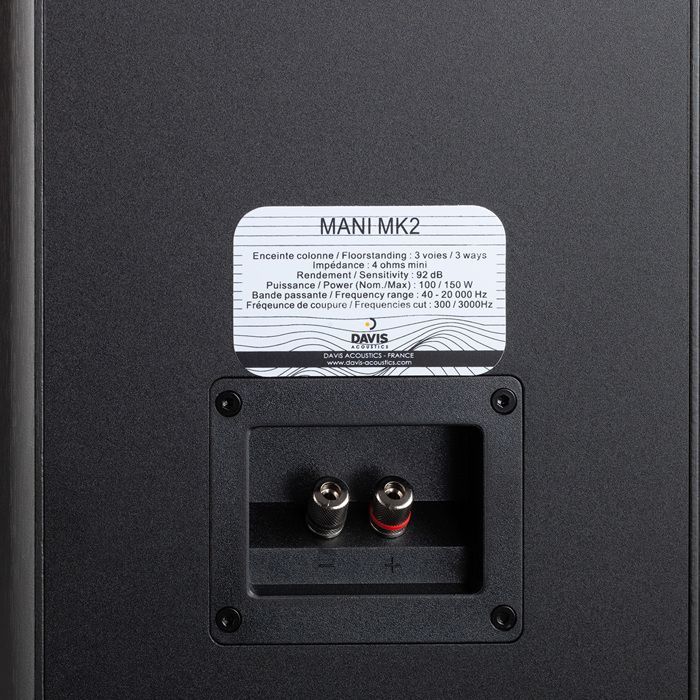 Enceinte colonne Davis Mani MK2 Noir (vendue a l'unité)