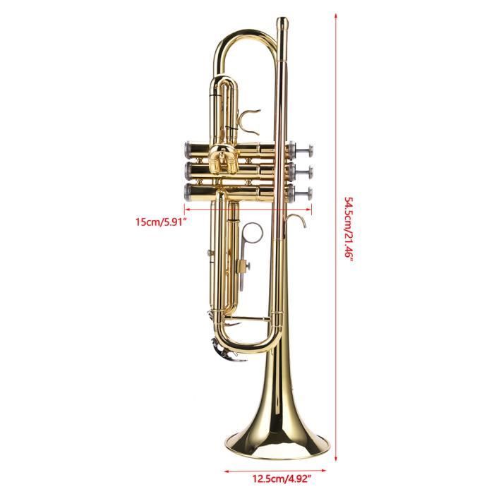 VINGVO LADE Professional Ensemble d'instruments pour trompette en laiton plat Sib (Or)
