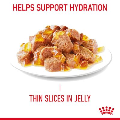 Royal Canin Appetite Control Care i gelé