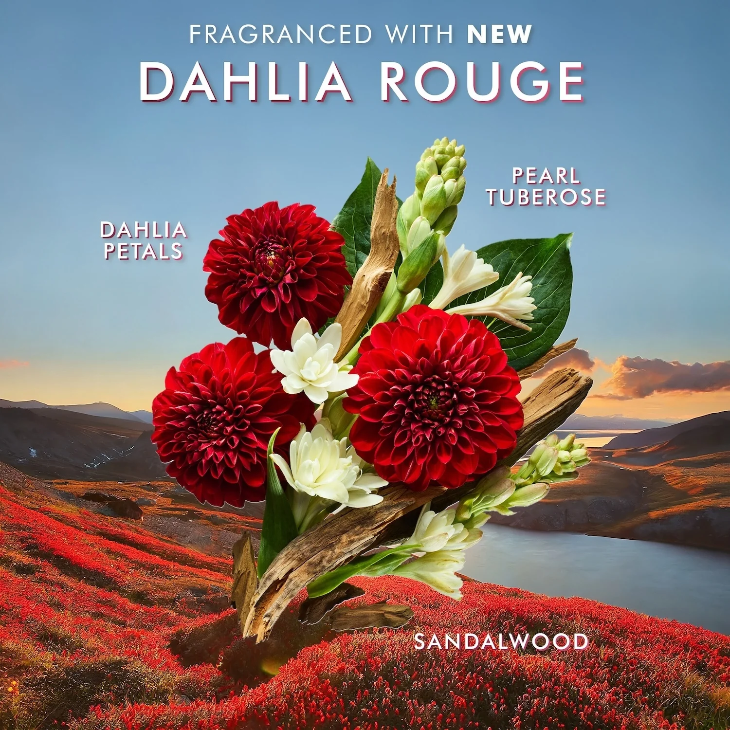 Body Hand Cream DAHLIA ROUGE - Trattamento Mani