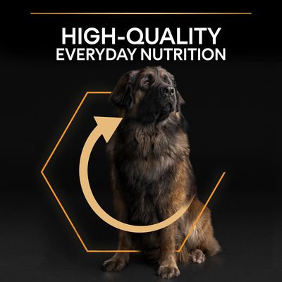 PURINA PRO PLAN Grande Robusto Nutrizione Quotidiana per Adulti