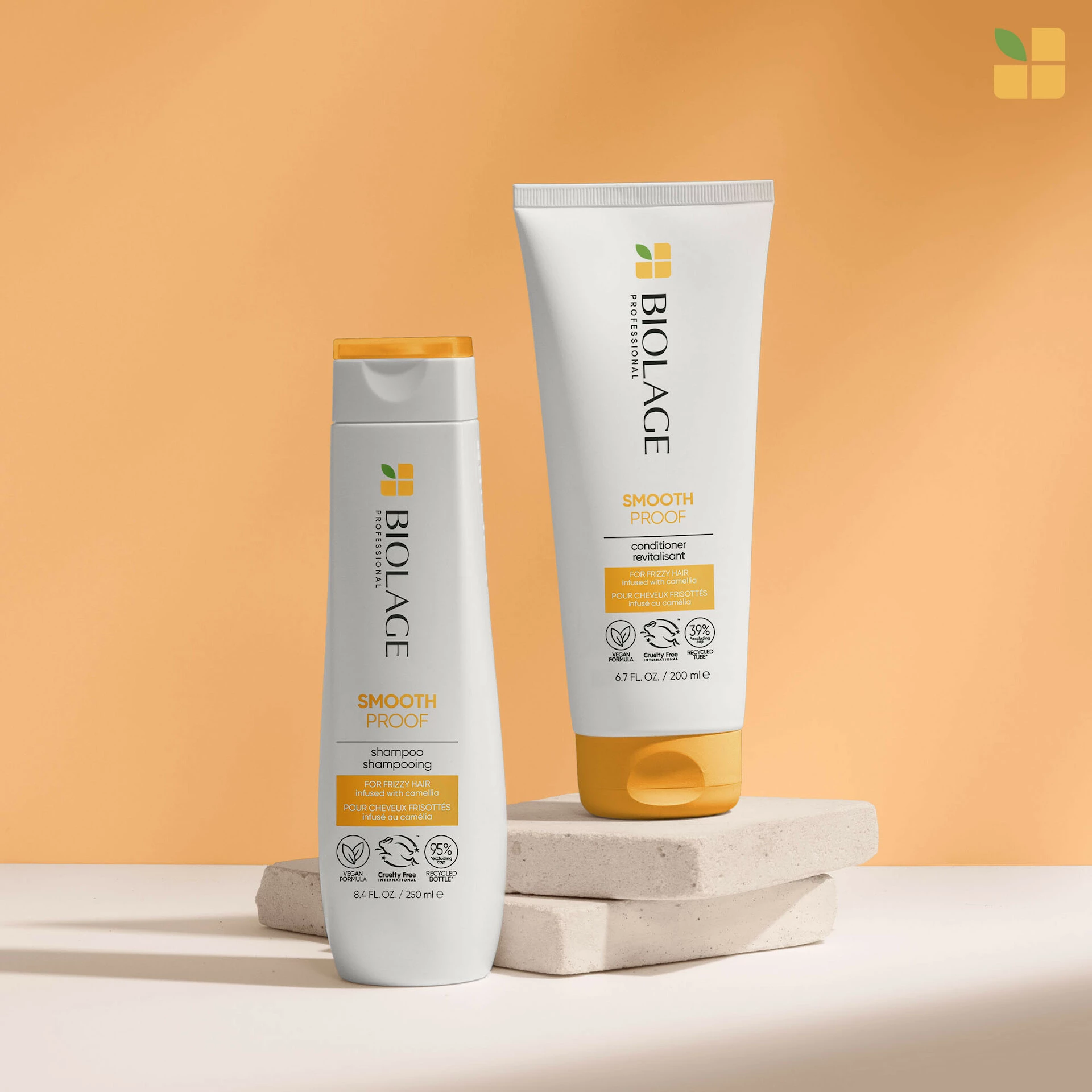 SmoothProof šampon 250 ml - Biolage
