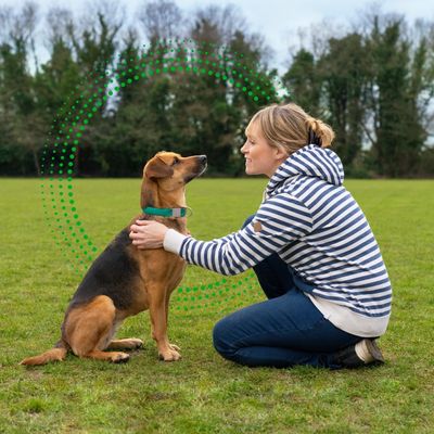 FRONTLINE® Plus Spot On til hunde - S (2-10 kg)