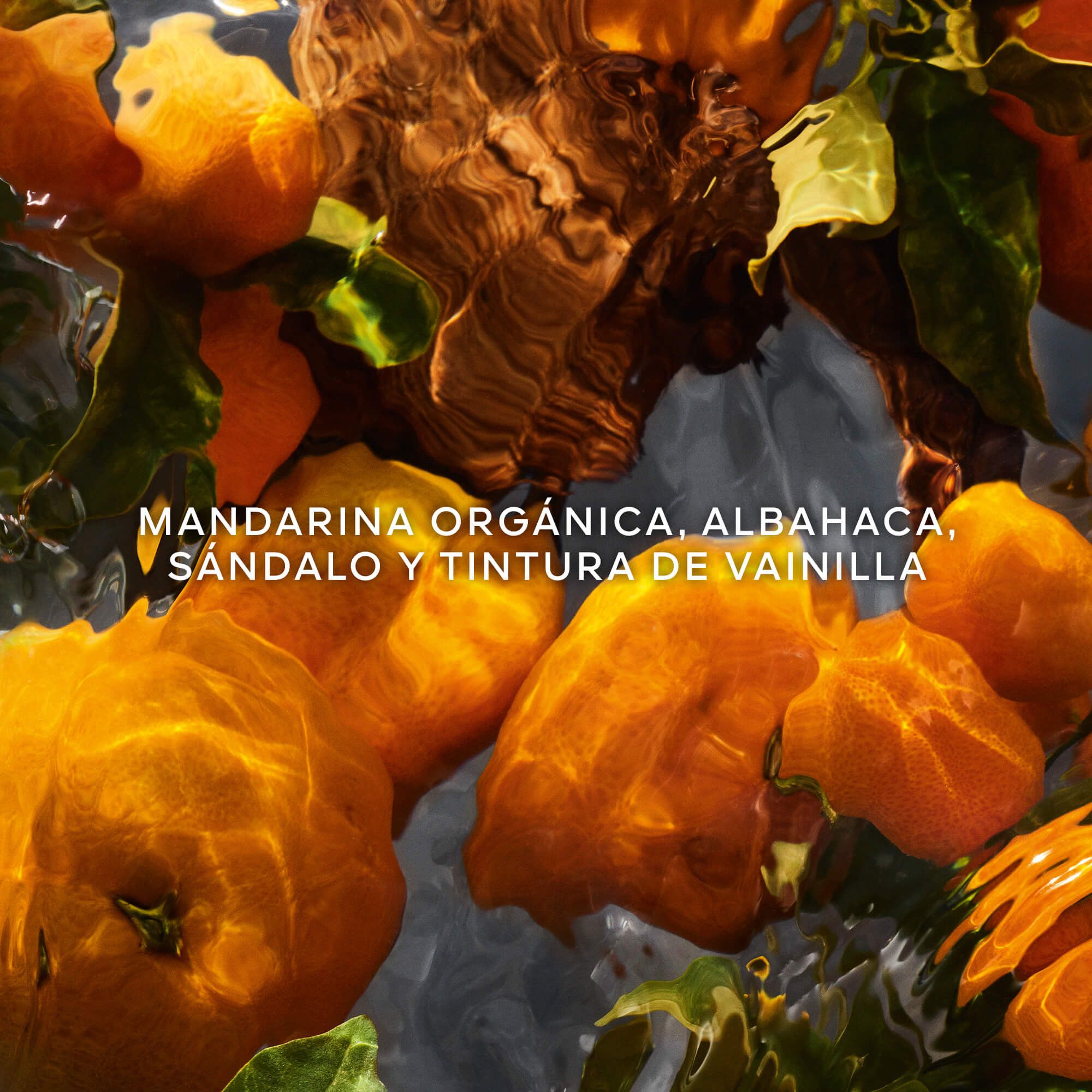Aqua Allegoria Mandarine Basilic Forte parfimērija Sieviešu smaržas