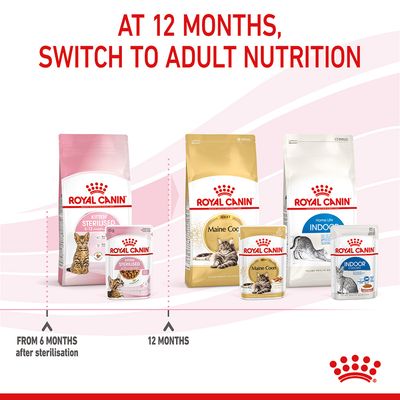 Royal Canin Sterilisiertes Kätzchen in Soße