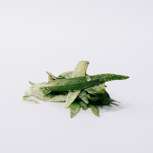 Esencia Eau de Parfum poklon set Parfemski setovi za muškarce