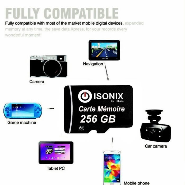 Carte Mémoire Micro-sd - ISONIX - 256 Go - Micro SDHC/SDXC - Class 10 - Adaptateur inclus