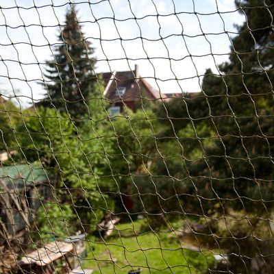 Siatka zabezpieczająca dla kota – odporna na ugryzienia i wzmocniona drutem