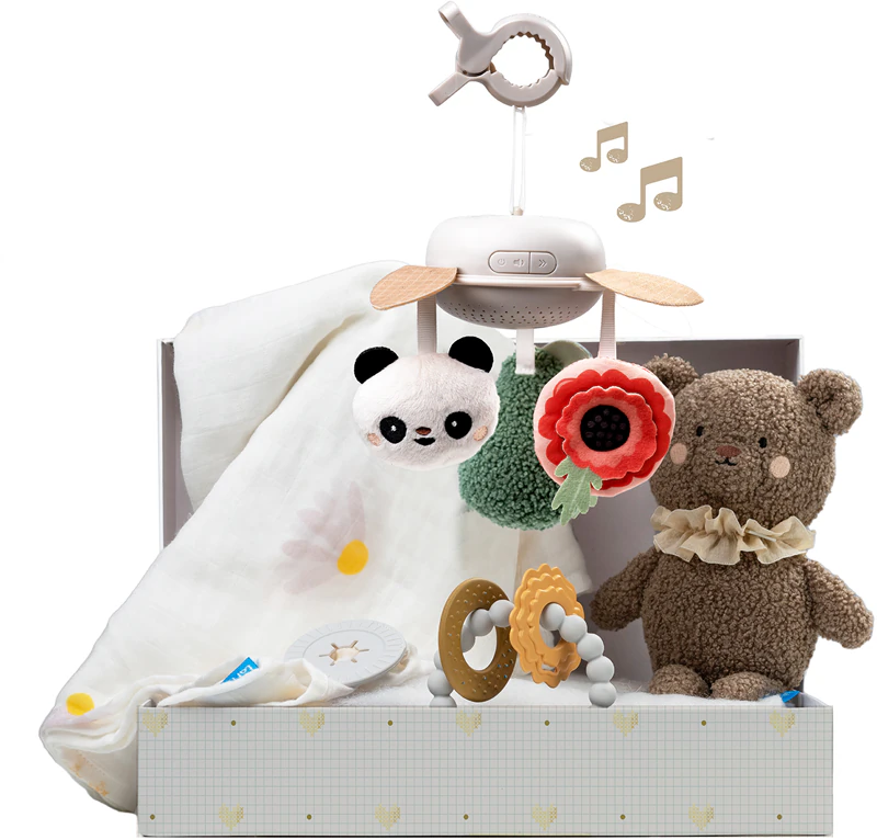 Taf Toys Luxus-Neugeborenen-Set Babygeschenkset