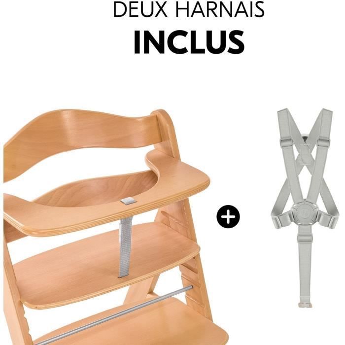 Chaise haute - HAUCK - ALPHA+ - Evolutive - De 6 mois à 90 kg - Bois FSC - Harnais 5 points - Naturel