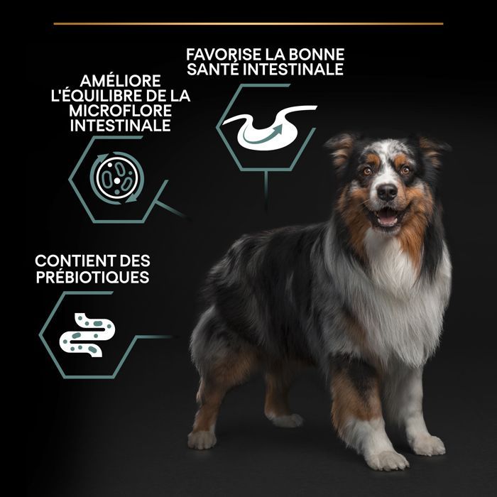 PRO PLAN Medium Adult Sensitive Digestion Riche en Agneau - 14 KG - Croquettes pour chiens adultes de taille moyenne