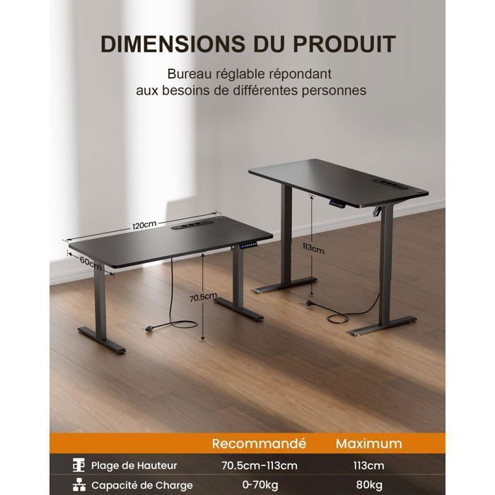 HLONONE Electric Sit-Stand Desk, 120 x 60 cm, Height Adjustable Table, with Integrated Power Outlet, USB Port, Black