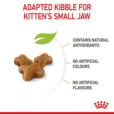 Royal Canin Kitten