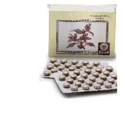 ECOL Cimicifuga 50 Tabletten 500 mg