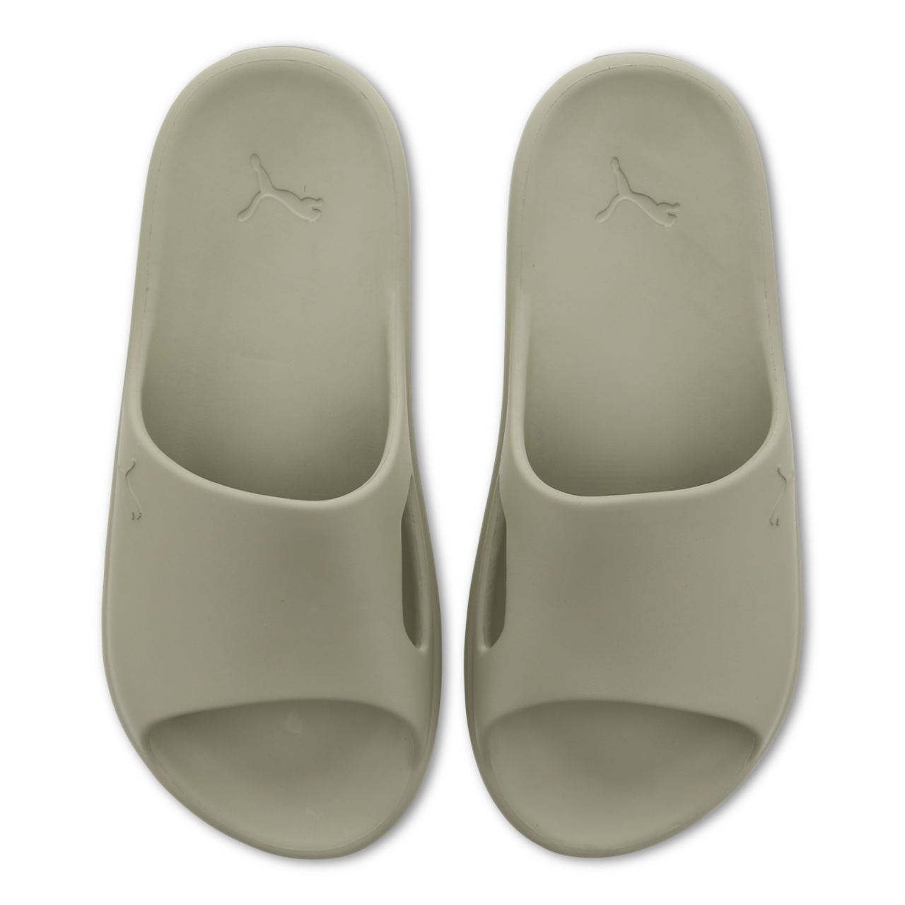 Puma Shibui Cat
