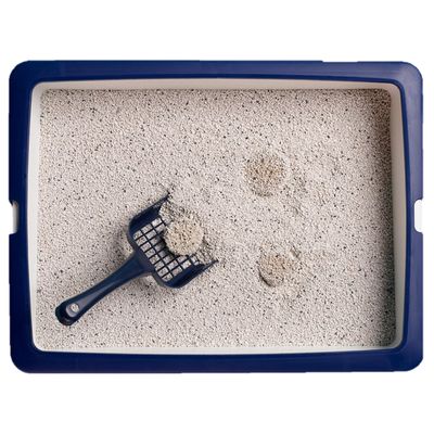 Lettiera agglomerante Catsan Active Fresh