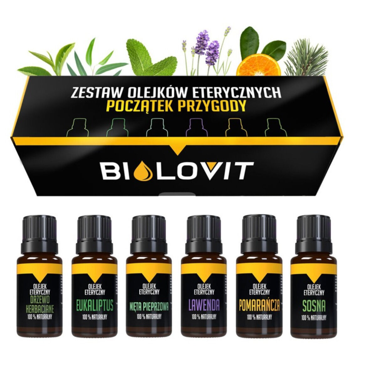 Bilovit Začiatok dobrodružstva