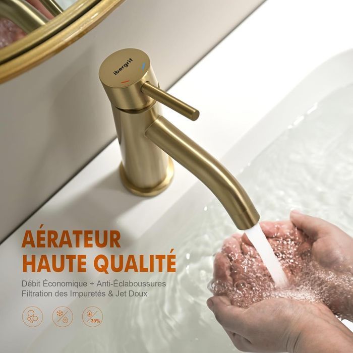 Grifo monomando para baño con rociador extraíble y mezclador cerámico silencioso para lavabo.