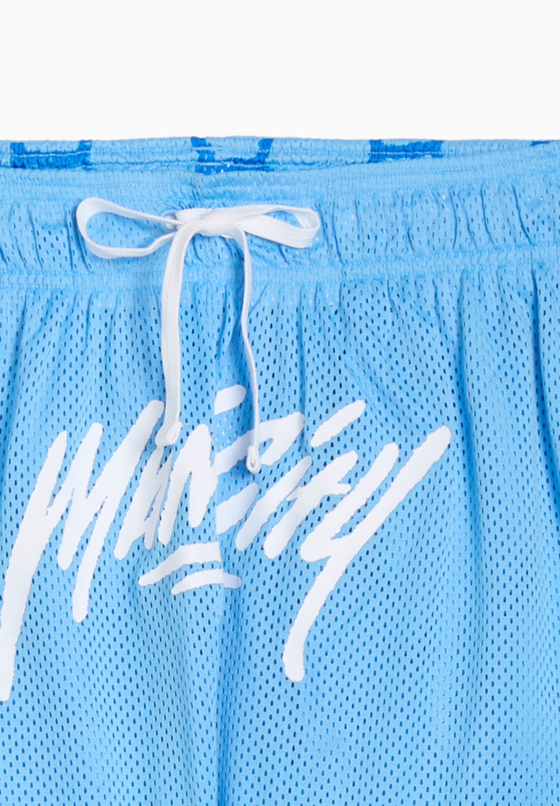 Puma HOOPS CITY - Sportshorts - team lichtblauw