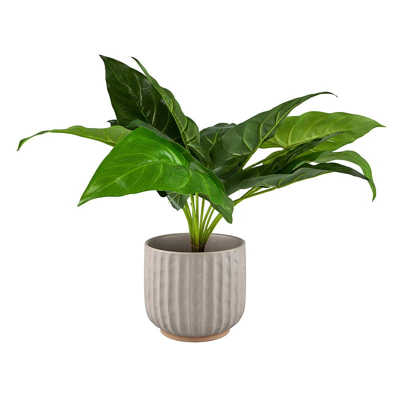 Hem Blomkruka Sahara 16x15 cm keramik