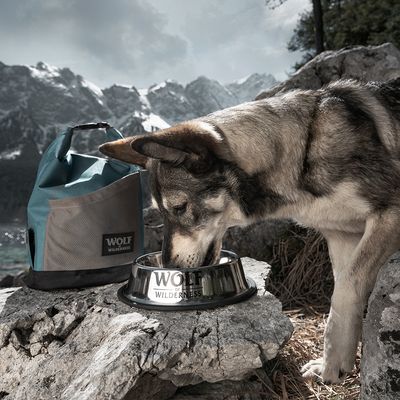 Comedero antideslizante de acero inoxidable Wolf of Wilderness para perros