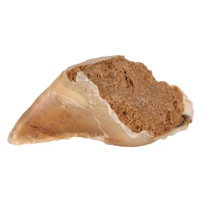 Trixie Hufkausnack mit Fleischpaste