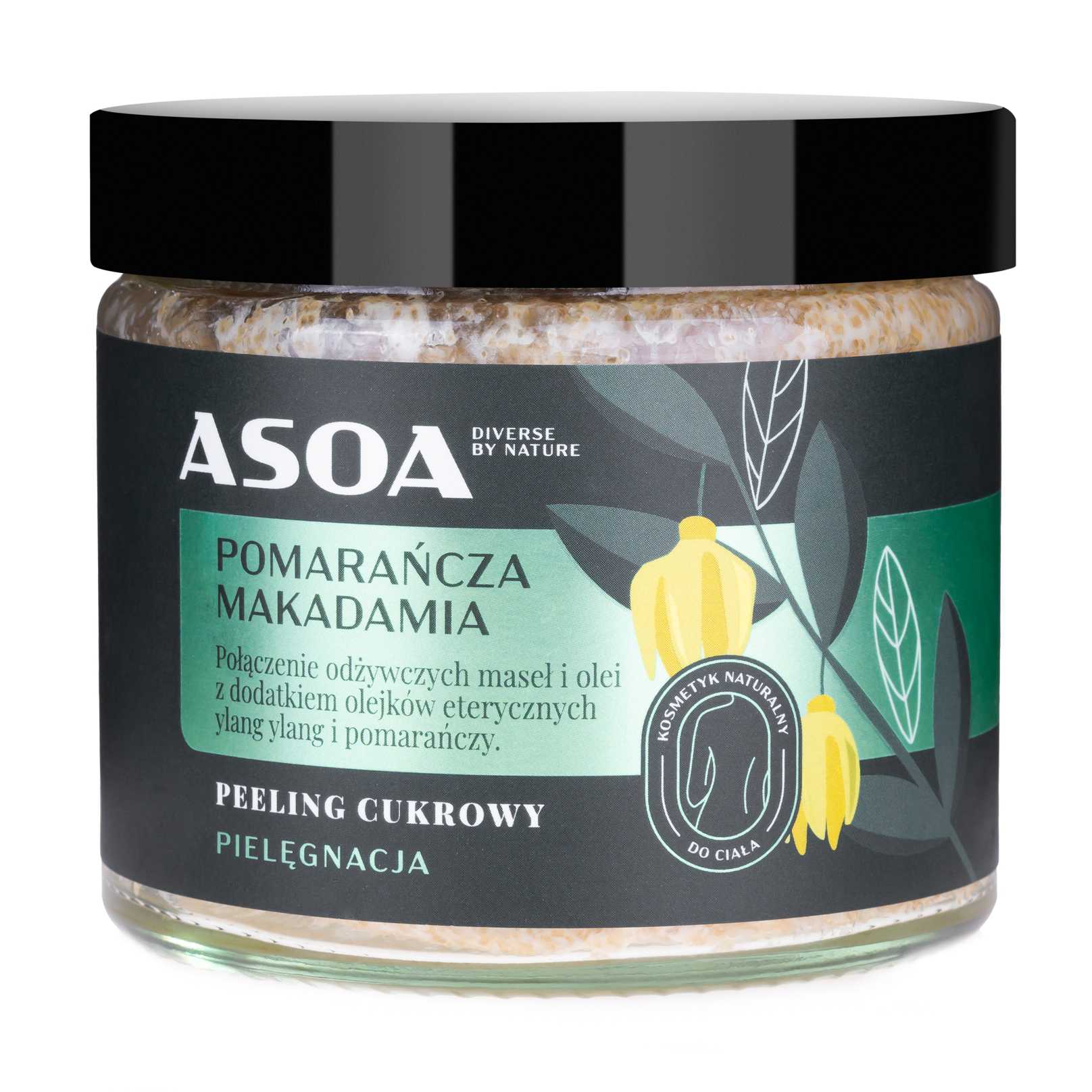 Asoa