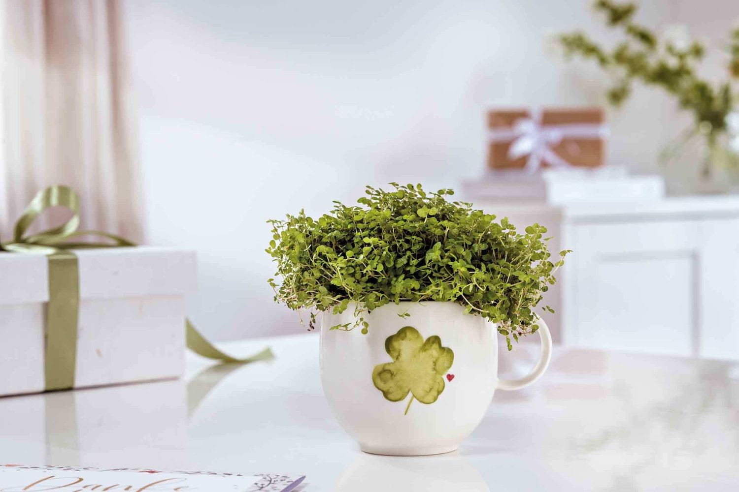 Villeroy & Boch krūze “Veiksmi mīlestībā” – 1 gab.