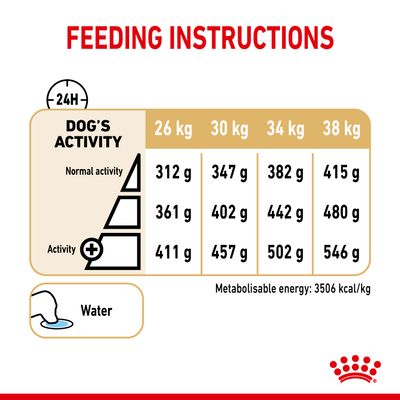 Royal Canin Labradorinnoutaja Adult 5+