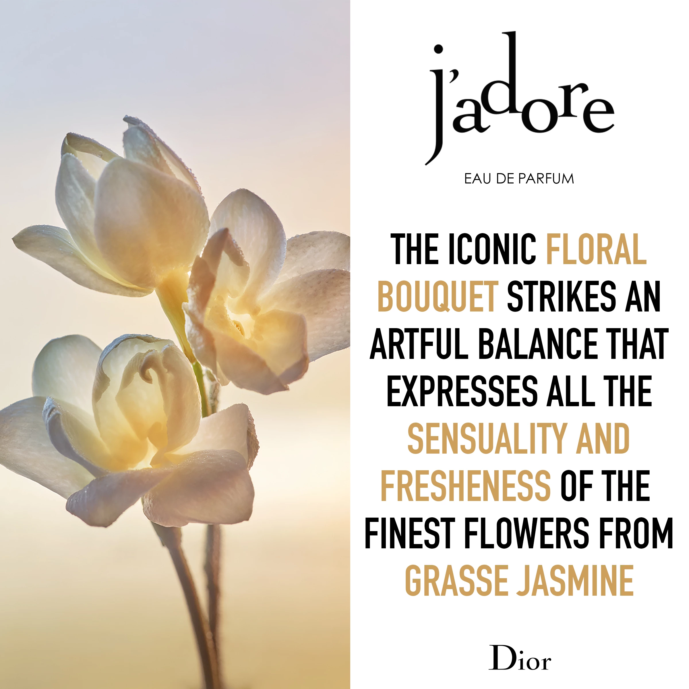 DIOR J'adore EDP 100 ml