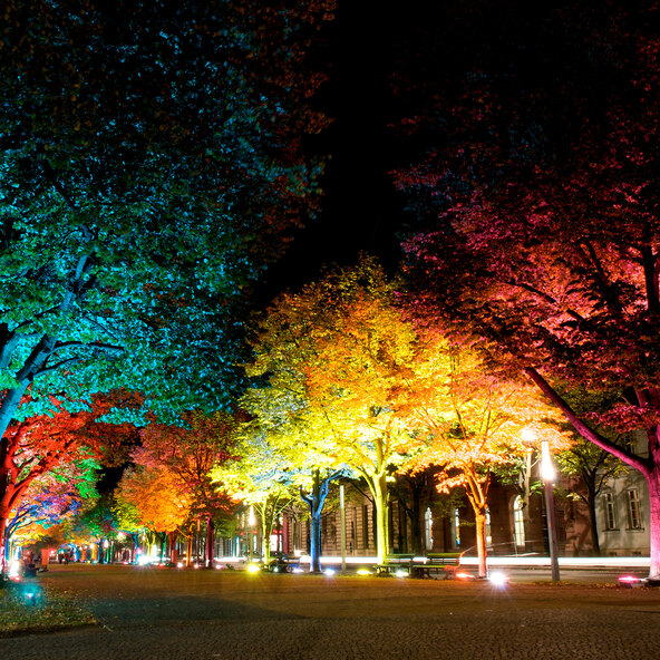 Έξυπνο LED-Gartenspot Flores XL, λευκό + χρώμα
