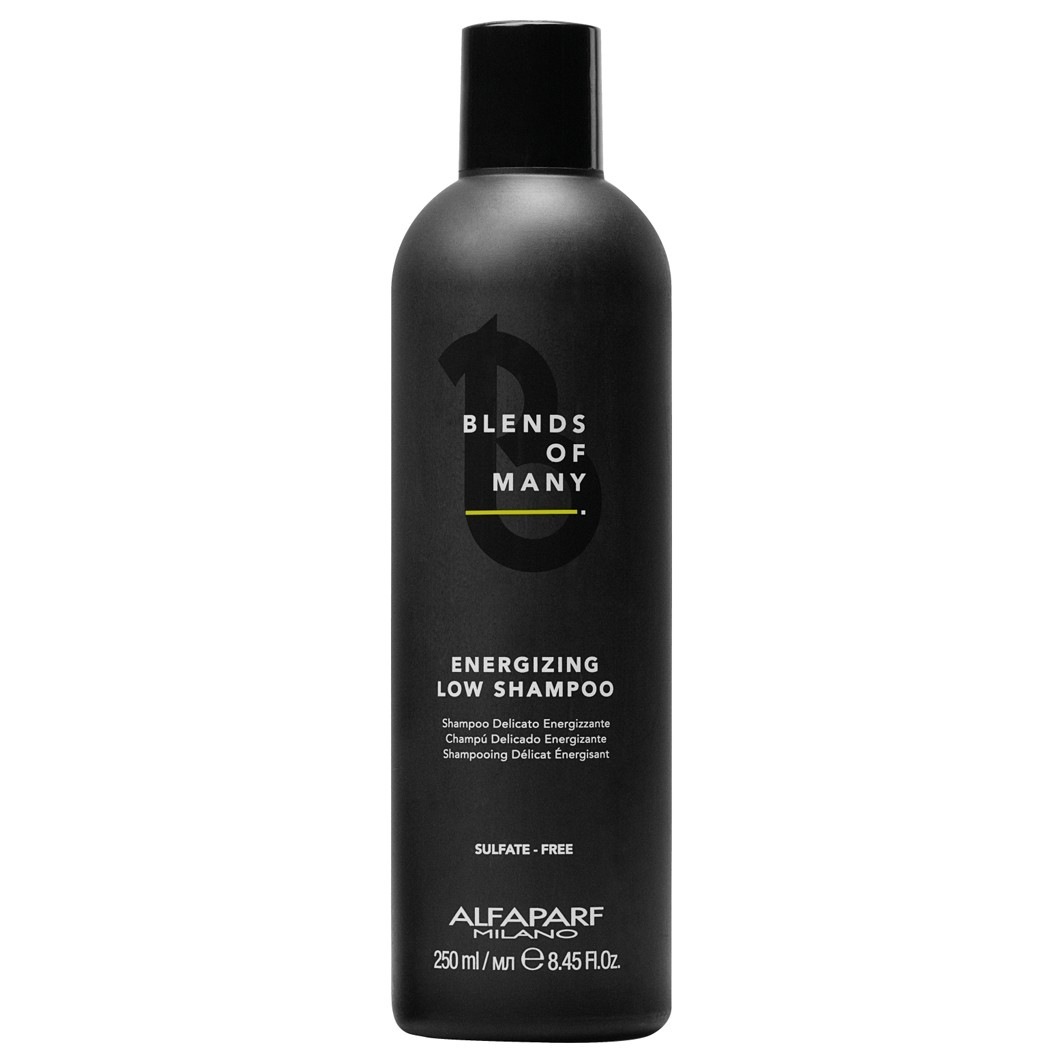 ALFAPARF MILANO Šampon za kosu, mješavina mnogih sastojaka, 250 ml - 250 ml