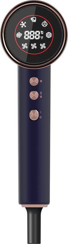 Secador de cabelo Concept Profi Care BLDC VV8100