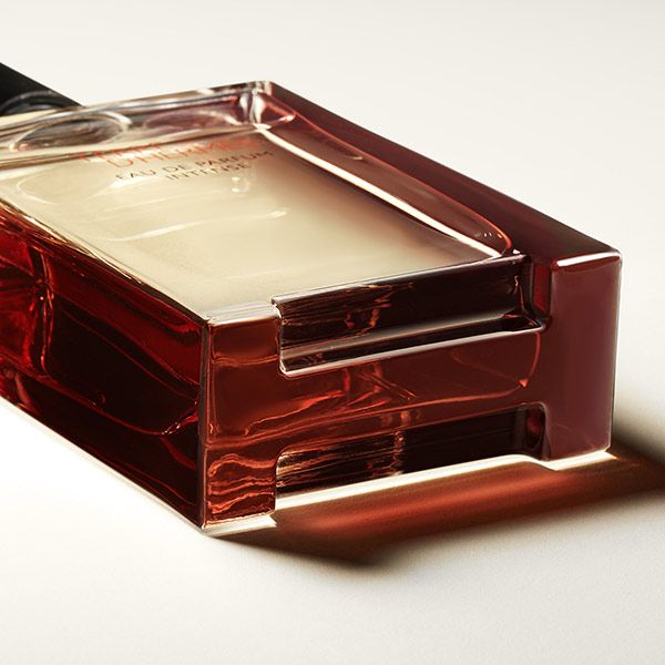 Terre d'Hermès Men Eau de Parfum Intense Muški parfemi