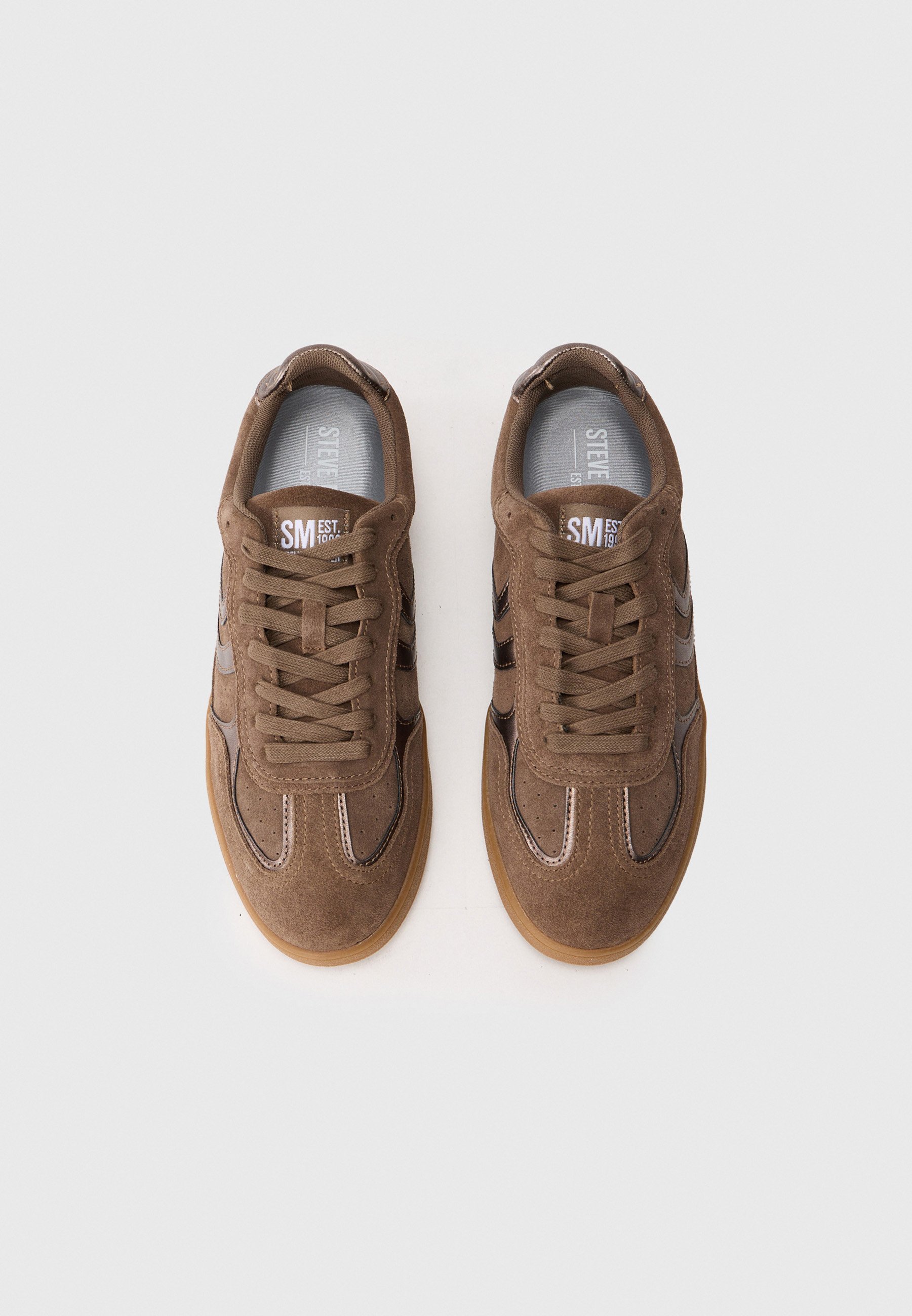 Steve Madden CLAYMORRE - Scarpe da ginnastica - tortora