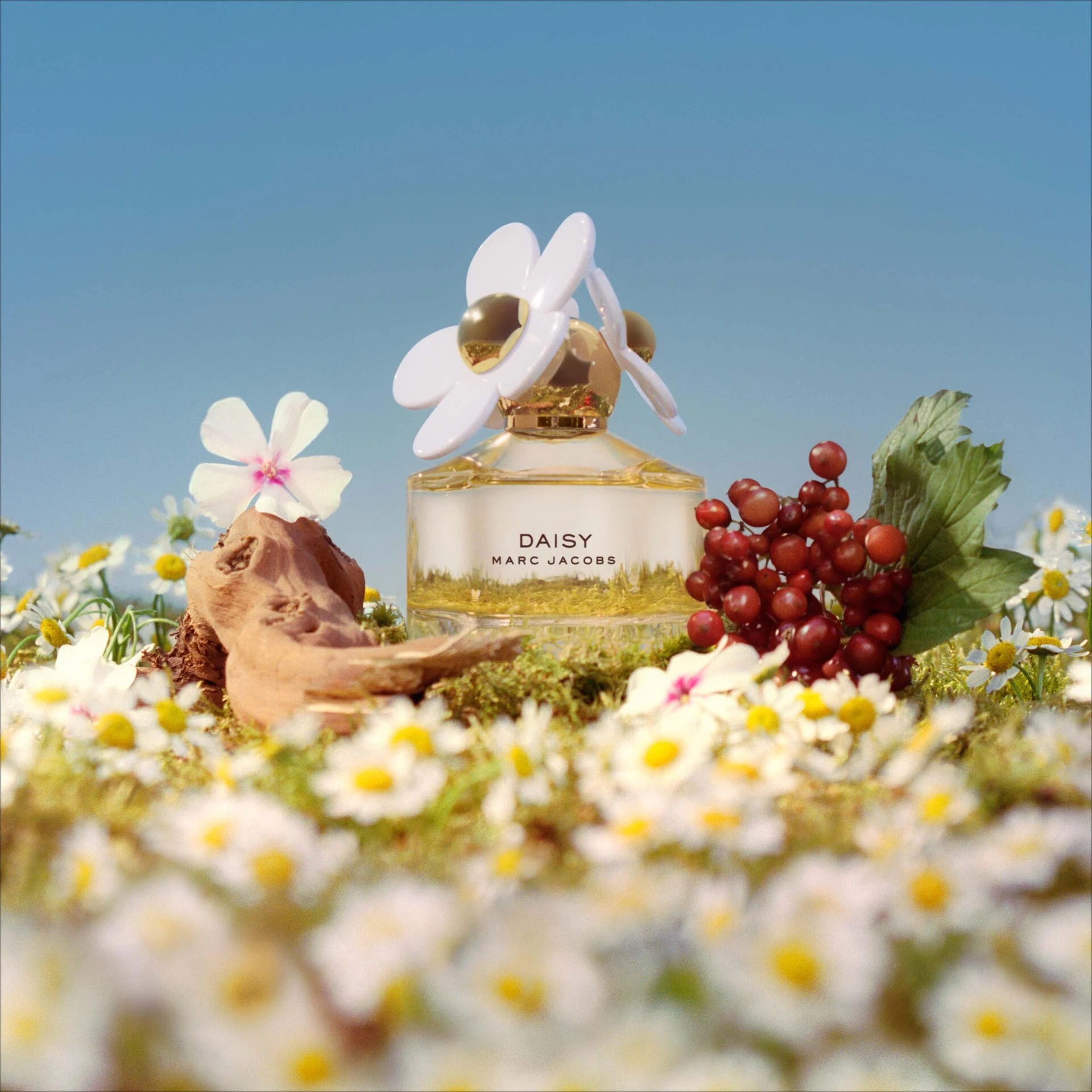 Daisy EDT 50 ml - Marc Jacobs