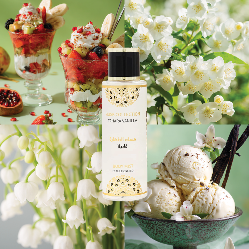 Golf-Orchidee Tahara Vanille